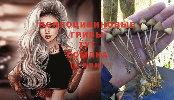 спиды Алексеевка