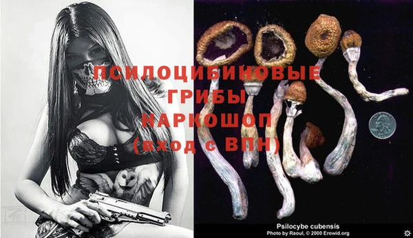 спиды Алексеевка