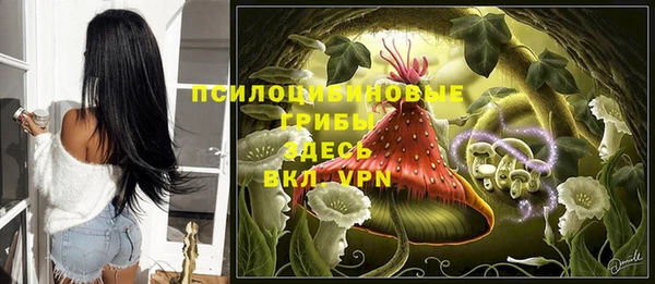 спиды Алексеевка