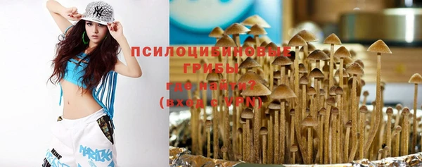 mdpv Алексин