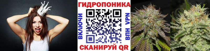 наркота  Калтан  Конопля индика 