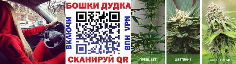 Бошки Шишки индика Калтан
